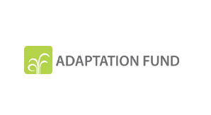 adoption